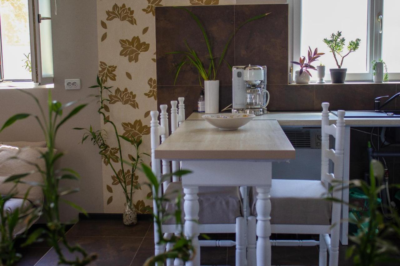 YOX apartment 1 Oradea Extérieur photo